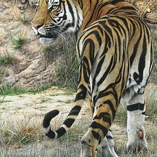 Схема вышивки «№416016»