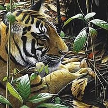 Схема вышивки «№416018»