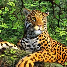 Схема вышивки «№416020»