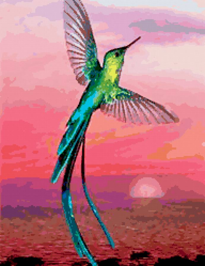 колибри - закат, небо, птичка, колибри - предпросмотр