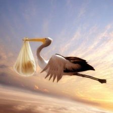 Схема вышивки «Рождение новой жизни»