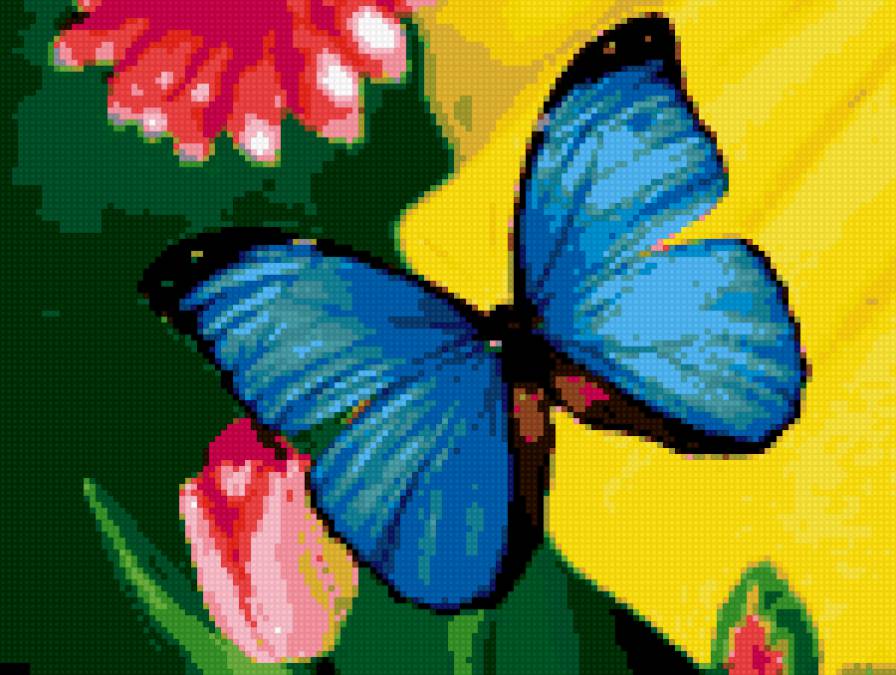 Бабочка - насекомое, бабочка - предпросмотр