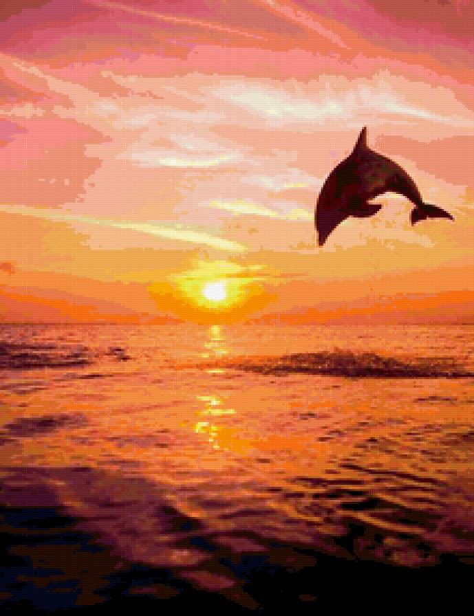 дельфин на закате - море, дельфины, закат - предпросмотр