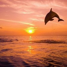 Схема вышивки «дельфин на закате»