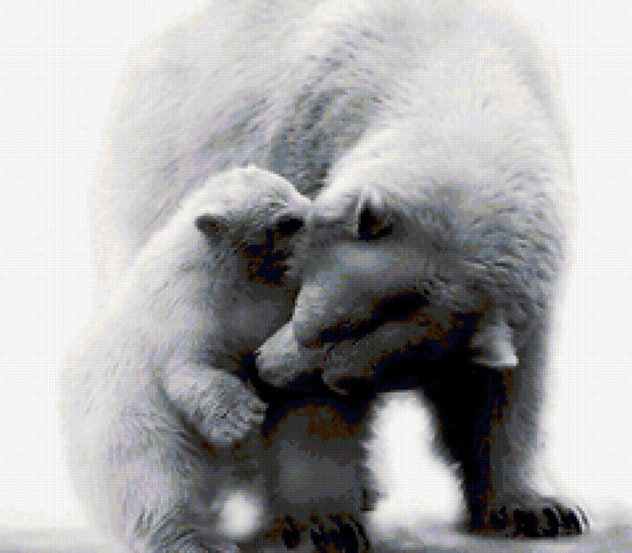 мама медвежонка - медведи, животные - предпросмотр