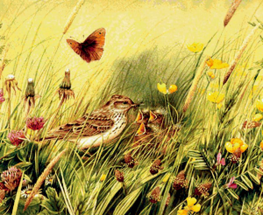 Серия "Птицы" - растение, птицы, природа - предпросмотр