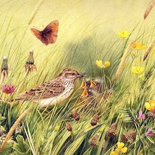 Схема вышивки «Серия "Птицы"»