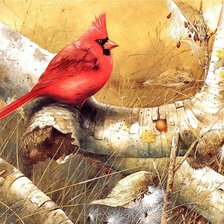 Схема вышивки «Серия "Птицы"»