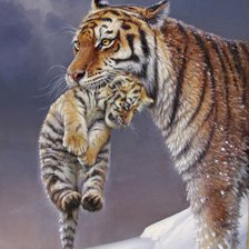 Схема вышивки «тигрица с тигренком»