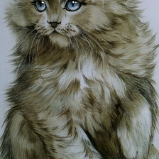 Схема вышивки «голубоглазик»