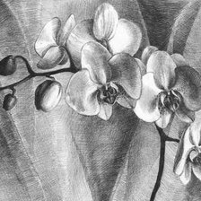 Схема вышивки «3»