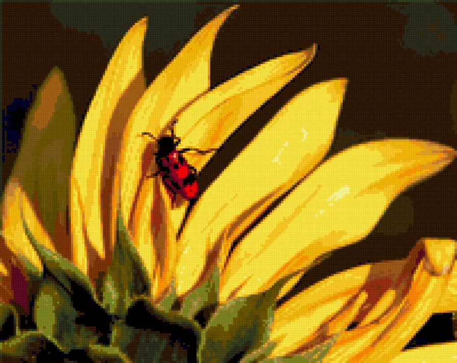 Ах, лето! - подсолнух, букашка, лето - предпросмотр