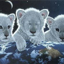 Схема вышивки «тигрята»