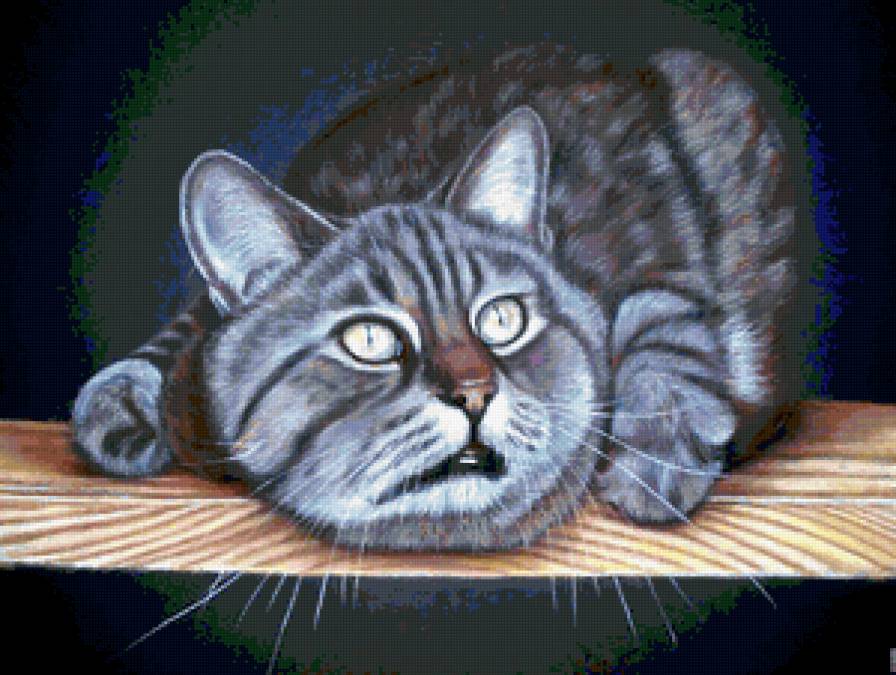 кот - кошки - предпросмотр