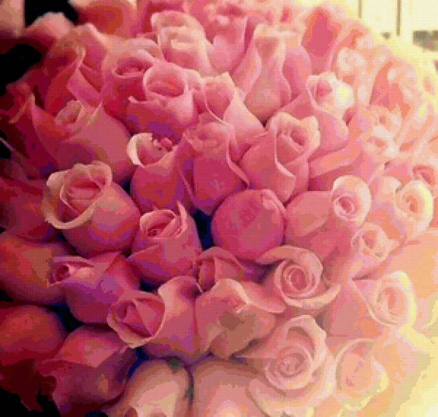 розы - предпросмотр