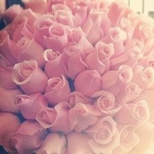 Схема вышивки «розы»