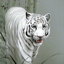 Схема вышивки «Тигр»