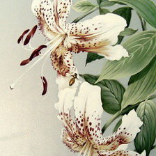 Схема вышивки «Цветы»