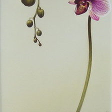 Схема вышивки «Цветы»