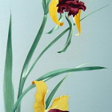 Схема вышивки «Цветы»