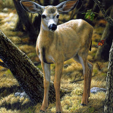 Схема вышивки «Милашка»