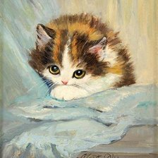 Схема вышивки «Кот»