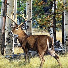 Схема вышивки «№416902»