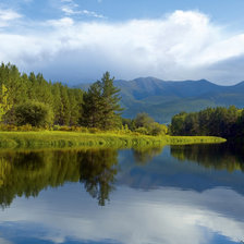 Схема вышивки «русский лес»