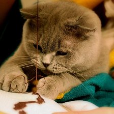 Схема вышивки «Помошник»