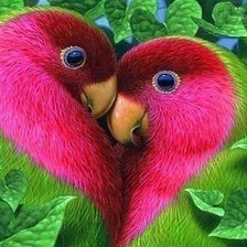 Схема вышивки «птица»