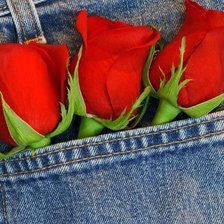 Схема вышивки «Розы»