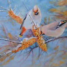 Схема вышивки «Серия "Птицы"»