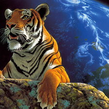 Схема вышивки «тигр»