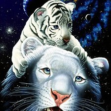 Схема вышивки «тигры»