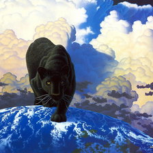 Схема вышивки «пума»