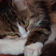 Схема вышивки «Фрося»