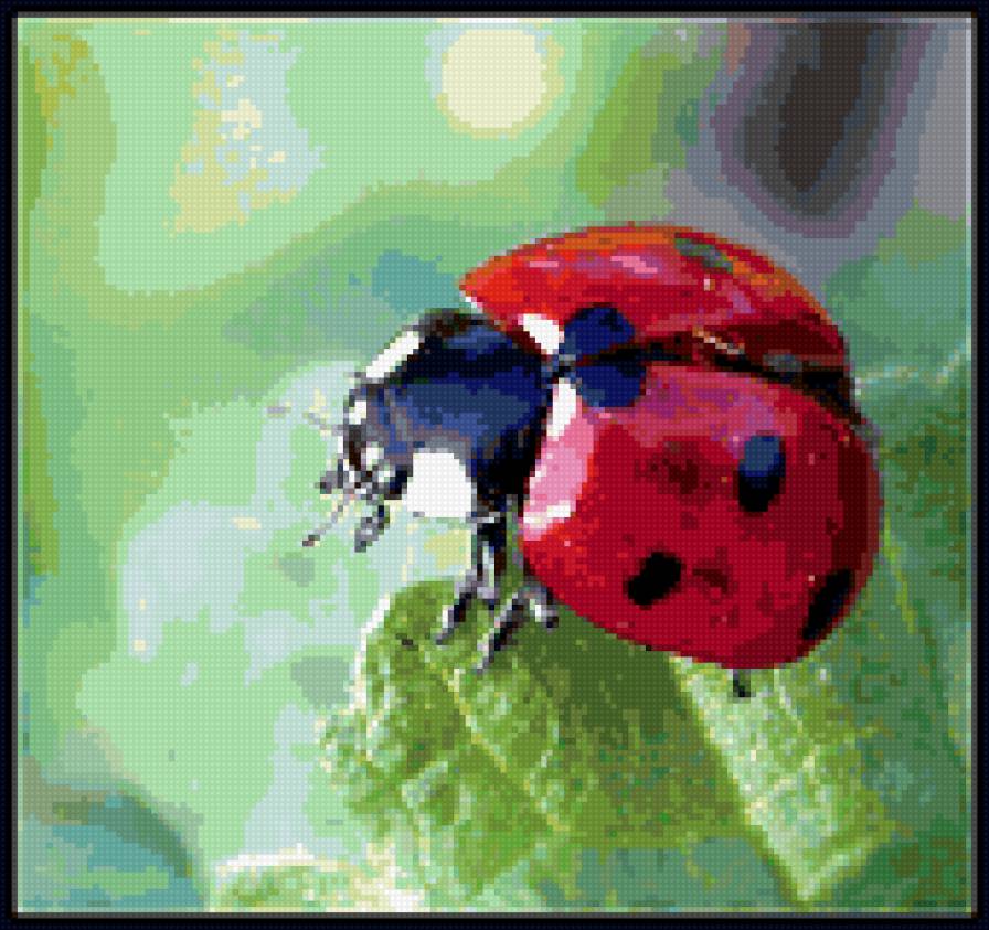 божья коровка - божья коровка, природа - предпросмотр