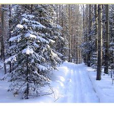 Схема вышивки «зимний лес»