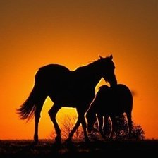 Схема вышивки «№417429»