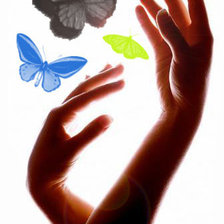 Схема вышивки «бабочки»