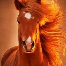 Схема вышивки «Лошадь 2»