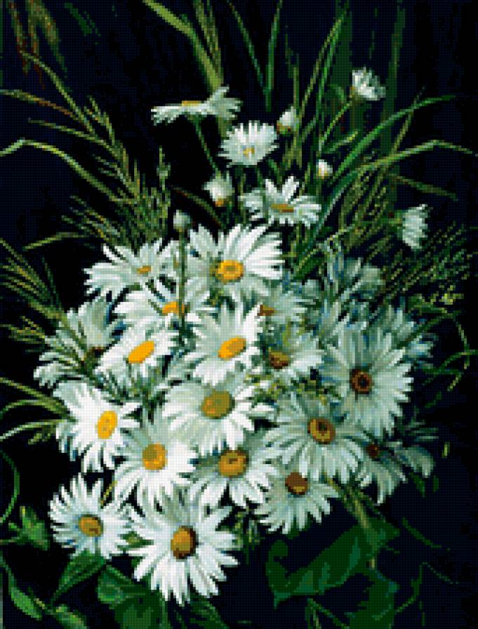 Букет ромашек - ромашки цветы букет - предпросмотр