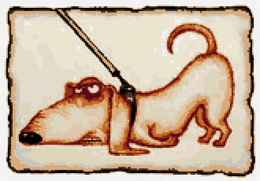 упрямая такса - такса, домашние животные, собака, упрямый - предпросмотр