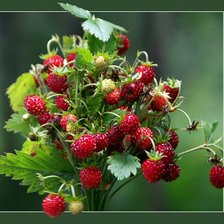 Схема вышивки «земляника»