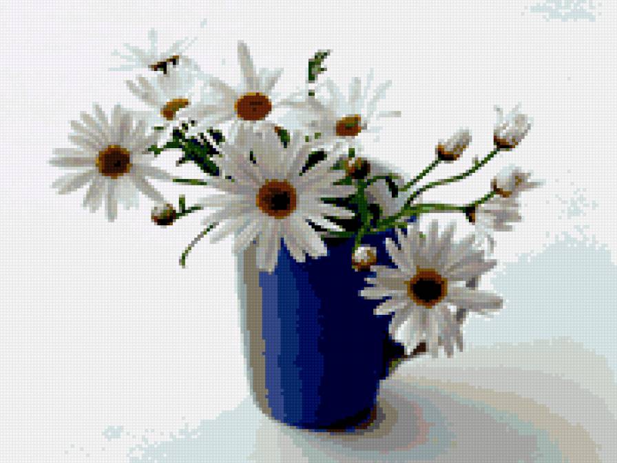 ромашки - предпросмотр