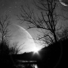 Схема вышивки «Черно-белое»