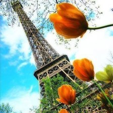 Схема вышивки «Париж»