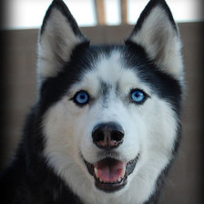 Схема вышивки «№ 6»