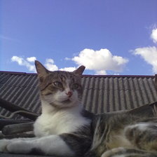 Схема вышивки «Базя»