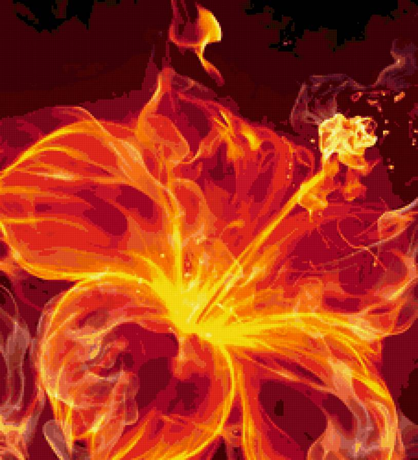 Огненный цветок - цветы, огонь - предпросмотр